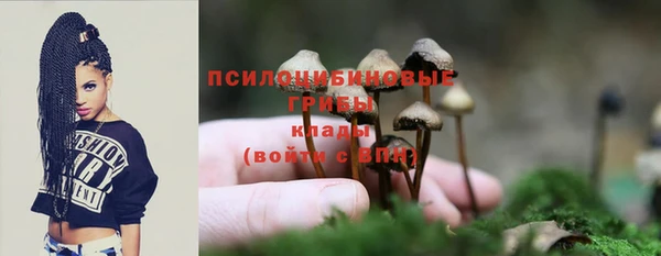 ешки Алзамай