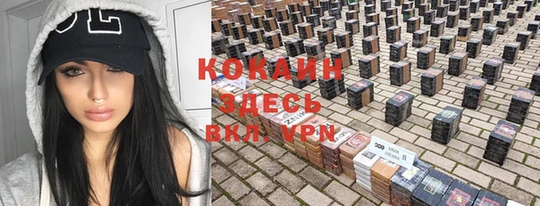 ешки Алзамай